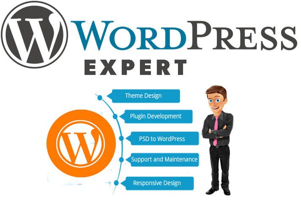 5 Must-Have WordPress Expert Skills