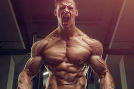 Best Legal Steroids without Side Effects