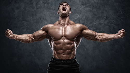 The Ultimate Guide to HD Testosterone Boosters